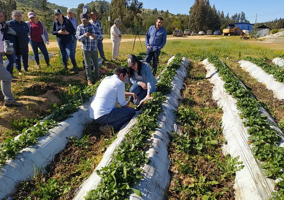 Transición hacia una agricultura sostenible – Radio Agricultura